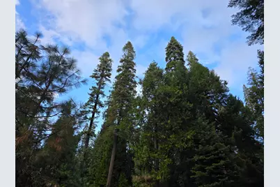 0 Blair Road, Pollock Pines, CA 95726 - Photo 21