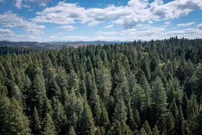 0 Blair Road, Pollock Pines, CA 95726 - Photo 3