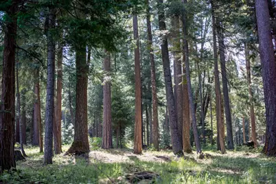 0 Blair Road, Pollock Pines, CA 95726 - Photo 9