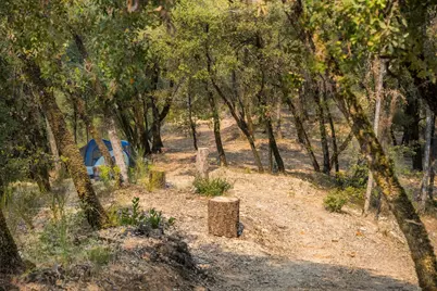2095 Wild Goose Canyon Road, Placerville, CA 95667 - Photo 11