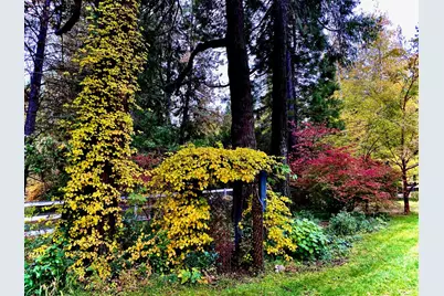 15026 Wabash Avenue, Grass Valley, CA 95945 - Photo 81