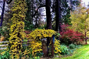 15026 Wabash Ave, Grass Valley, CA 95945 - Photo 81