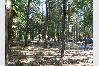 3848 Garnet Road, Pollock Pines, CA 95726 - Photo 11