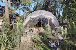 28110 Sweetland Rd, North San Juan, CA 95960 - Photo 41