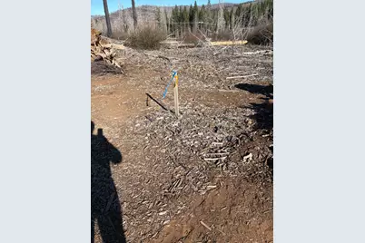 6855 E Tyler Drive, Grizzly Flats, CA 95636 - Photo 13