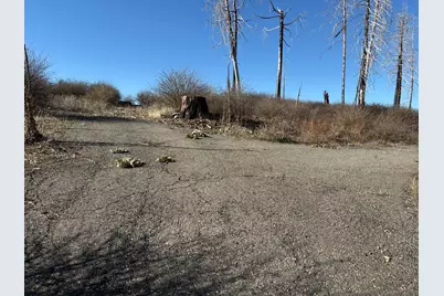 6855 E Tyler Drive, Grizzly Flats, CA 95636 - Photo 5