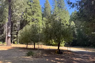 138 Big Fir Rd, Forbestown, CA 95941 - Photo 7