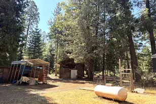 138 Big Fir Rd, Forbestown, CA 95941 - Photo 47