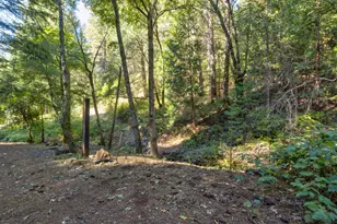 26672 Old Loggers Ln, Colfax, CA 95713 - Photo 55