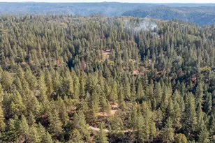 26672 Old Loggers Ln, Colfax, CA 95713 - Photo 63