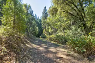 26672 Old Loggers Ln, Colfax, CA 95713 - Photo 53