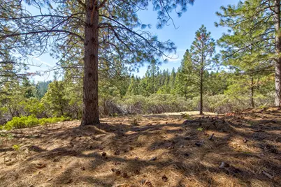 26672 Old Loggers Lane, Colfax, CA 95713 - Photo 45