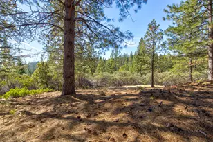 26672 Old Loggers Ln, Colfax, CA 95713 - Photo 45