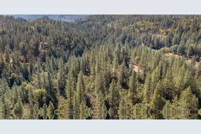 26672 Old Loggers Lane, Colfax, CA 95713 - Photo 65