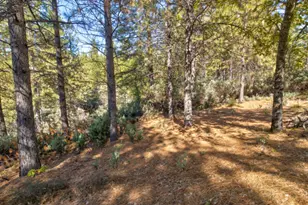 26672 Old Loggers Ln, Colfax, CA 95713 - Photo 51