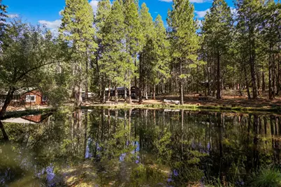 21800 Cedar Ridge Road, Manton, CA 96059 - Photo 33