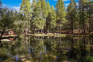 21800 Cedar Ridge Rd, Manton, CA 96059 - Photo 33