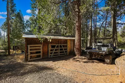 21800 Cedar Ridge Road, Manton, CA 96059 - Photo 31