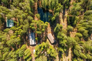 21800 Cedar Ridge Rd, Manton, CA 96059 - Photo 37