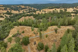 13080 Twin Pines Rd, Sutter Creek, CA 95685 - Photo 89