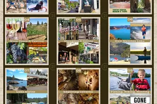 723 Larkspur Ln, Murphys, CA 95247 - Photo 53