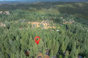 723 Larkspur Ln, Murphys, CA 95247 - Photo 43