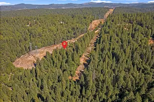 2160 Nelson Rd, Camino, CA 95709 - Photo 65