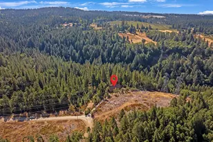 2160 Nelson Rd, Camino, CA 95709 - Photo 63