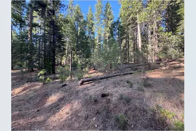 20472 E Pine Drive East, Pioneer, CA 95666 - Photo 1