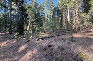 20472 E Pine Dr E, Pioneer, CA 95666 - Photo 1