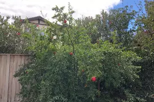 400 Arezzo Way, Tracy, CA 95377 - Photo 33