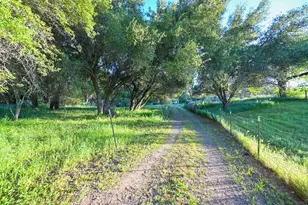 13930 Fiddletown Rd, Fiddletown, CA 95629 - Photo 33