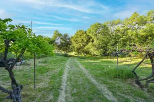 13930 Fiddletown Rd, Fiddletown, CA 95629 - Photo 5