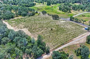 4941 D Agostini Dr, Somerset, CA 95684 - Photo 69