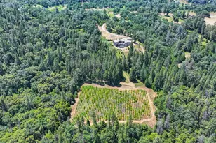 4941 D Agostini Dr, Somerset, CA 95684 - Photo 77