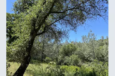 12787 Country Heights Drive, Penn Valley, CA 95946 - Photo 7