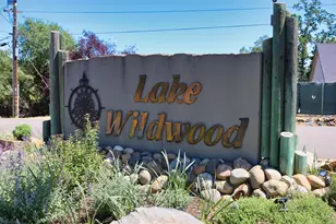 11585 Linnet Ct, Penn Valley, CA 95946 - Photo 53