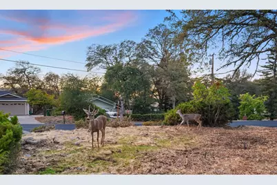 11585 Linnet Court, Penn Valley, CA 95946 - Photo 35