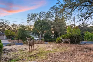 11585 Linnet Ct, Penn Valley, CA 95946 - Photo 35