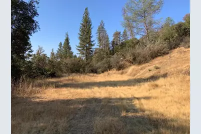 17340 Scopar Road, Grass Valley, CA 95949 - Photo 3