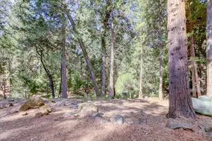 18367 Jayhawk Dr, Penn Valley, CA 95946 - Photo 55