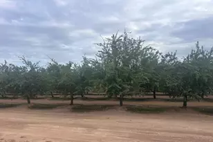 11776 Victory Ave, Oakdale, CA 95361 - Photo 29