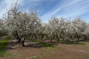 11776 Victory Ave, Oakdale, CA 95361 - Photo 25