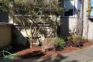 533 Reeves Ave, Yuba City, CA 95991 - Photo 41