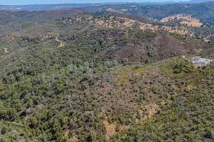 3155 Hawver, San Andreas, CA 95249 - Photo 53