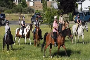 1276 Coon Ct, Cool, CA 95614 - Photo 75