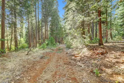 12683 Spider Hill Road, Nevada City, CA 95959 - Photo 11