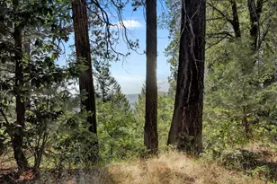 12683 Spider Hill Rd, Nevada City, CA 95959 - Photo 1