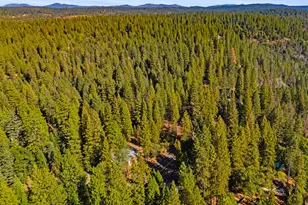 5983 Sly Park Rd, Placerville, CA 95667 - Photo 31