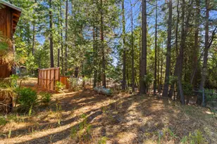 5983 Sly Park Rd, Placerville, CA 95667 - Photo 27